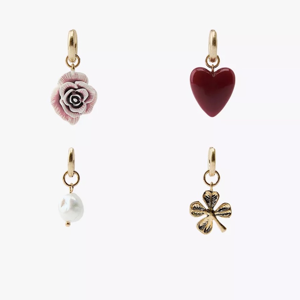 Zara pack of chams earrings